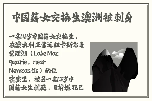 番茄视频 片